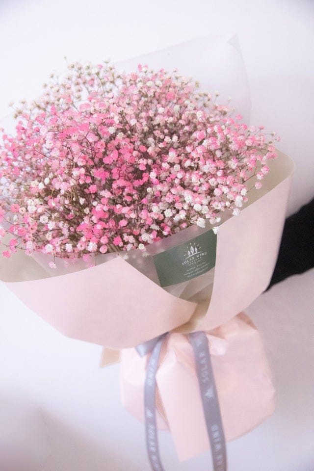 Pink baby’s breath