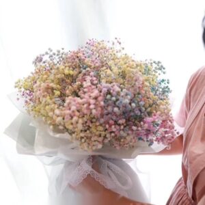 Rainbow Babyâ€™s breath