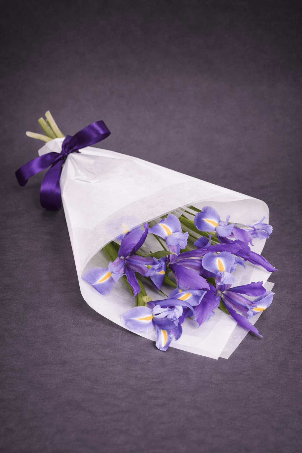 Purple Irises in Satin and Cellophane