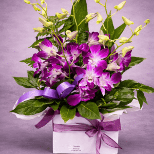 Purple Orchid Elegance in a Gift Box