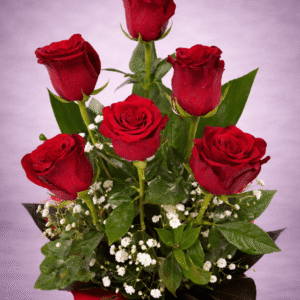 Red Roses with Dew Drops