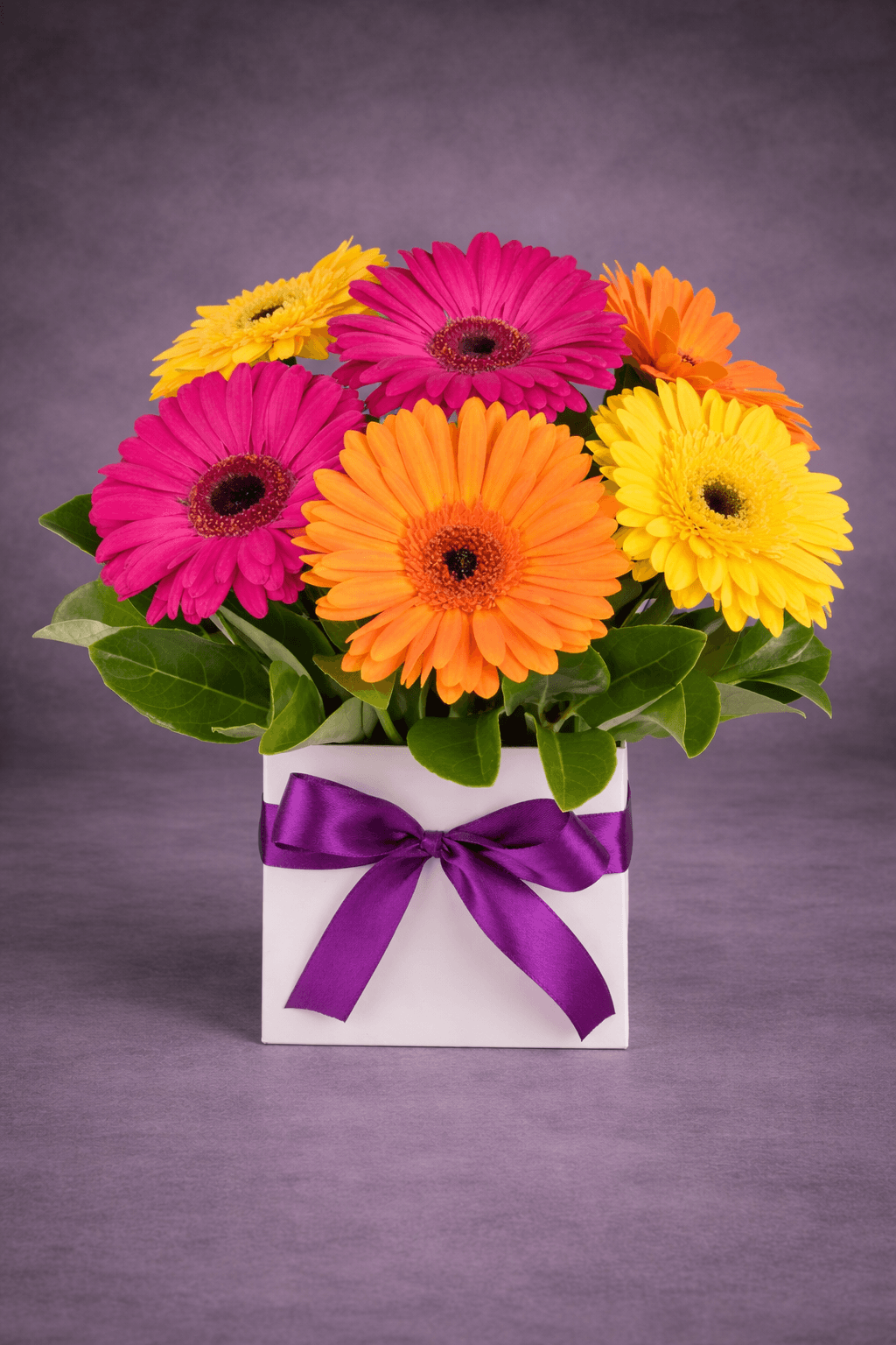 Vibrant Gerbera Daisy Box Bouquet