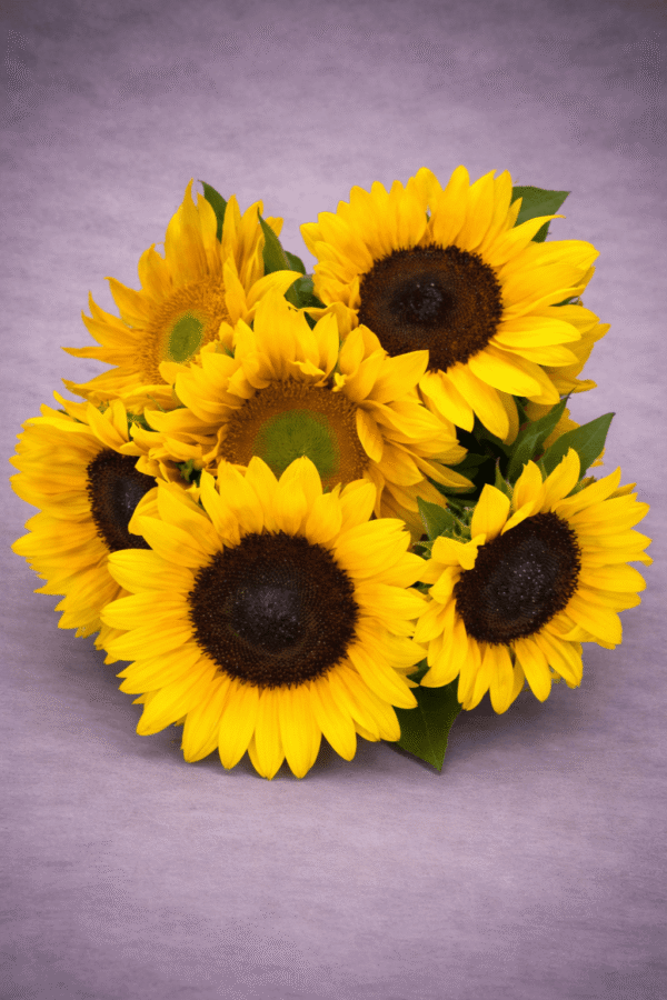 Vibrant Sunflowers arranged